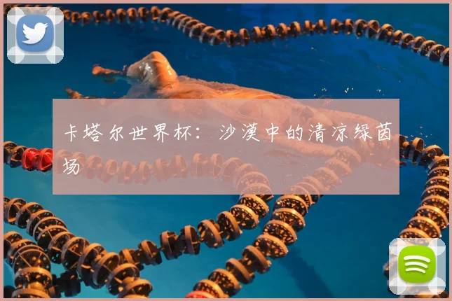 卡塔尔世界杯：沙漠中的清凉绿茵场
