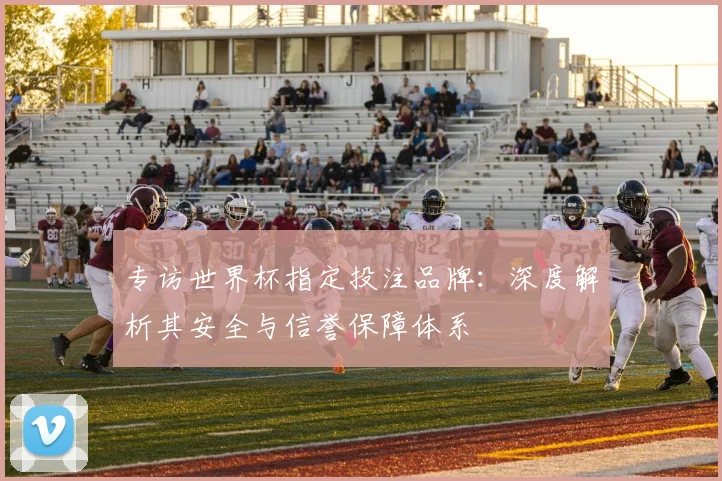专访世界杯指定投注品牌:深度解析其安全与信誉保障体系