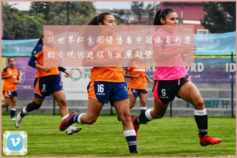 从世界杯竞彩停售看中国体育彩票的合规化进程与发展趋势
