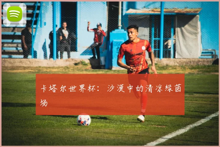 卡塔尔世界杯：沙漠中的清凉绿茵场