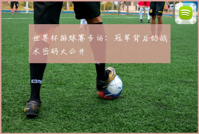 世界杯排球赛专访:冠军背后的战术密码大公开