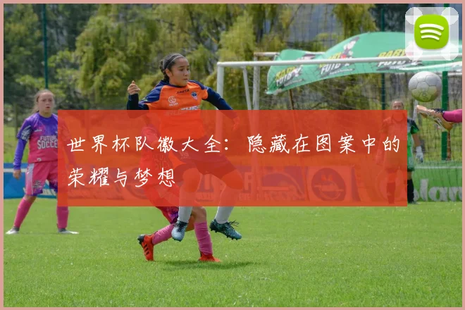 世界杯队徽大全：隐藏在图案中的荣耀与梦想