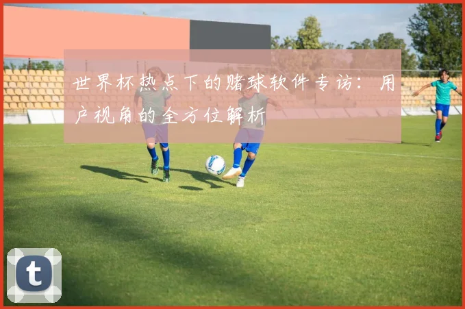 世界杯热点下的赌球软件专访：用户视角的全方位解析