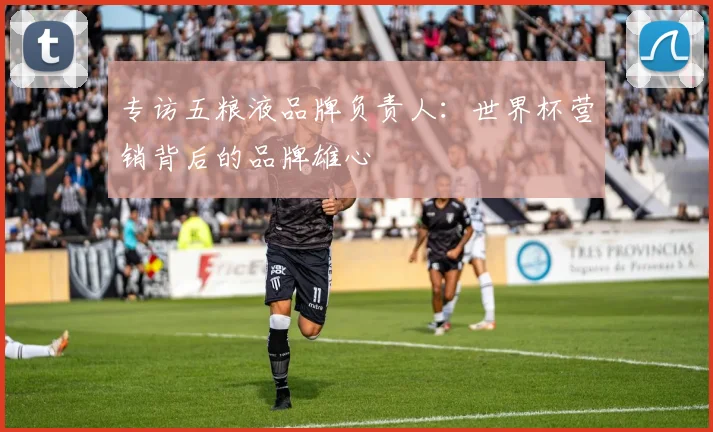 专访五粮液品牌负责人:世界杯营销背后的品牌雄心
