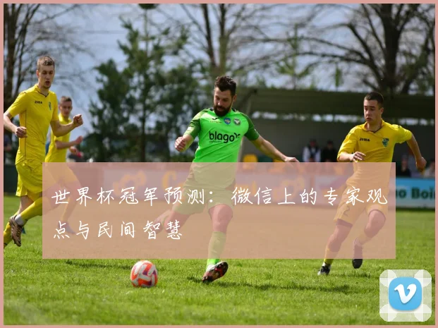 世界杯冠军预测:微信上的专家观点与民间智慧