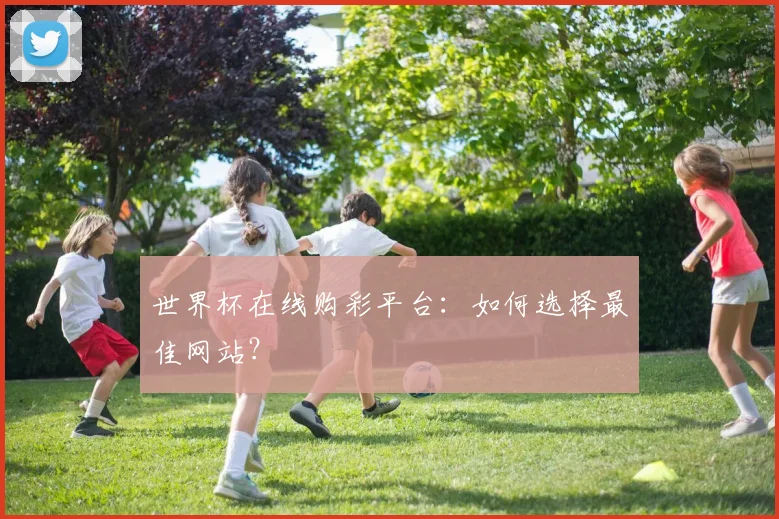 世界杯在线购彩平台:如何选择最佳网站?