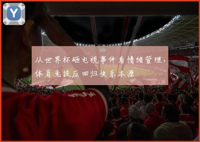 从世界杯砸电视事件看情绪管理,体育竞技应回归快乐本源