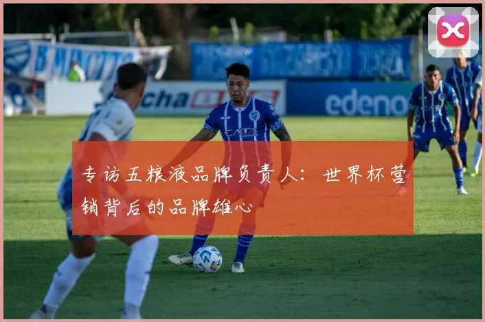 专访五粮液品牌负责人:世界杯营销背后的品牌雄心