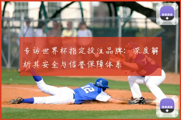 专访世界杯指定投注品牌:深度解析其安全与信誉保障体系